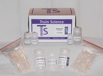 Plasmid MiniPreps (100)